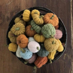 Pumpkin Harvest - CaMaRose