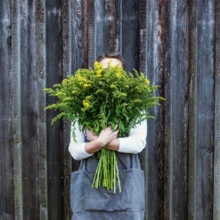 The Colours Of Nature