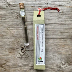 Tulip - Sashiko Needles Assorted Long