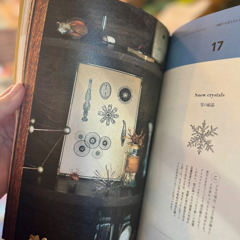 An Embroidered Book Of Natural History Motifs 8 An Embroidered Book Of Natural History Motifs - Image 6