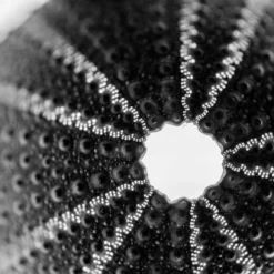 Sark - Kate Davies & Tom Barr 25 Sark - Kate Davies & Tom Barr -loop knitting store KateDaviesSarkatLoopLondon3