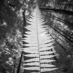 Sark - Kate Davies & Tom Barr 28 Sark - Kate Davies & Tom Barr -loop knitting store KateDaviesSarkatLoopLondon7