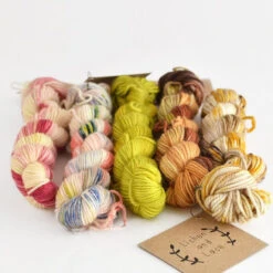 Lichen And Lace - Sock Minis