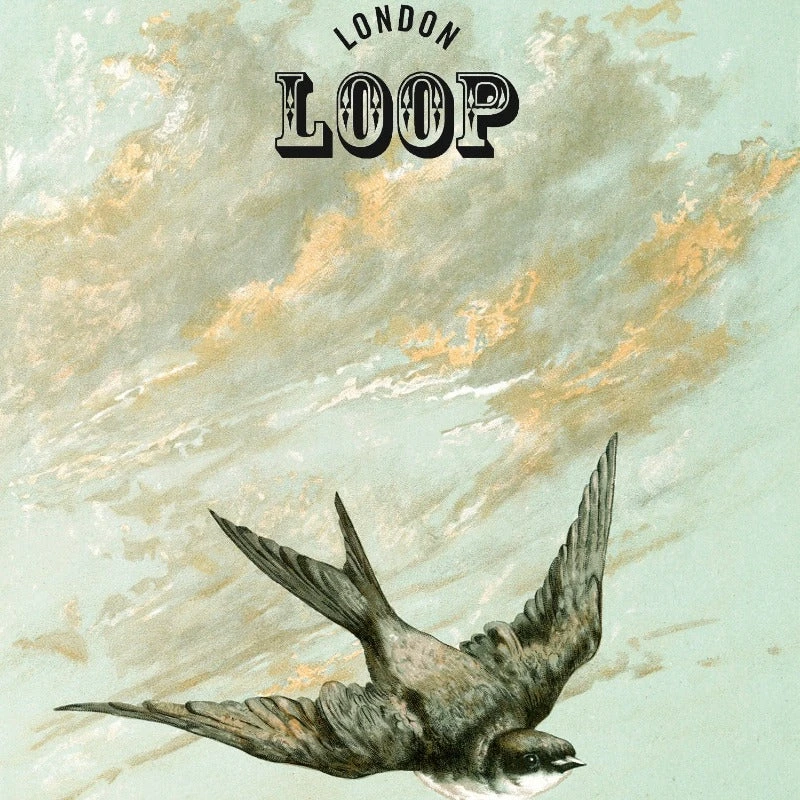 Loop Haberdashery Bird Tin With Stitch Markers 8 Loop Haberdashery Bird Tin With Stitch Markers - Image 6