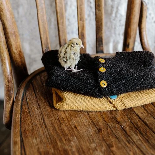 Pop! Baby Cardigan 5 Pop! Baby Cardigan - Image 3