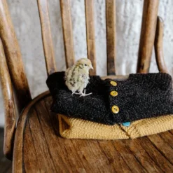 Pop! Baby Cardigan 13 Pop! Baby Cardigan -loop knitting store Pop 20Baby 20Cardigan 20at 20Loop 20London 204 1591881911