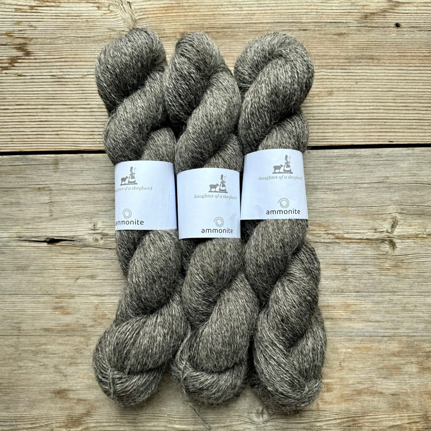 Daughter Of A Shepherd - Ammonite 3 Daughter Of A Shepherd - Ammonite