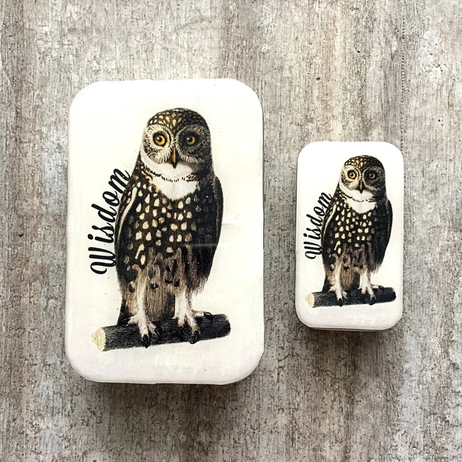Wise Owl Tin 3 Wise Owl Tin